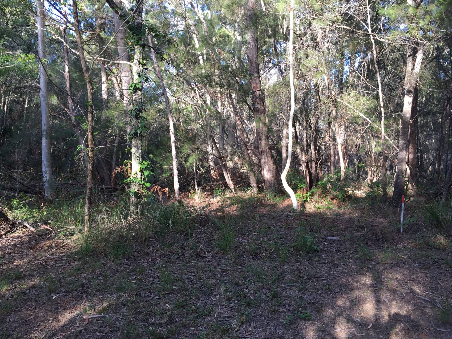 12, Avera Road, Russell Island, Russell Island - Thumbnail 2