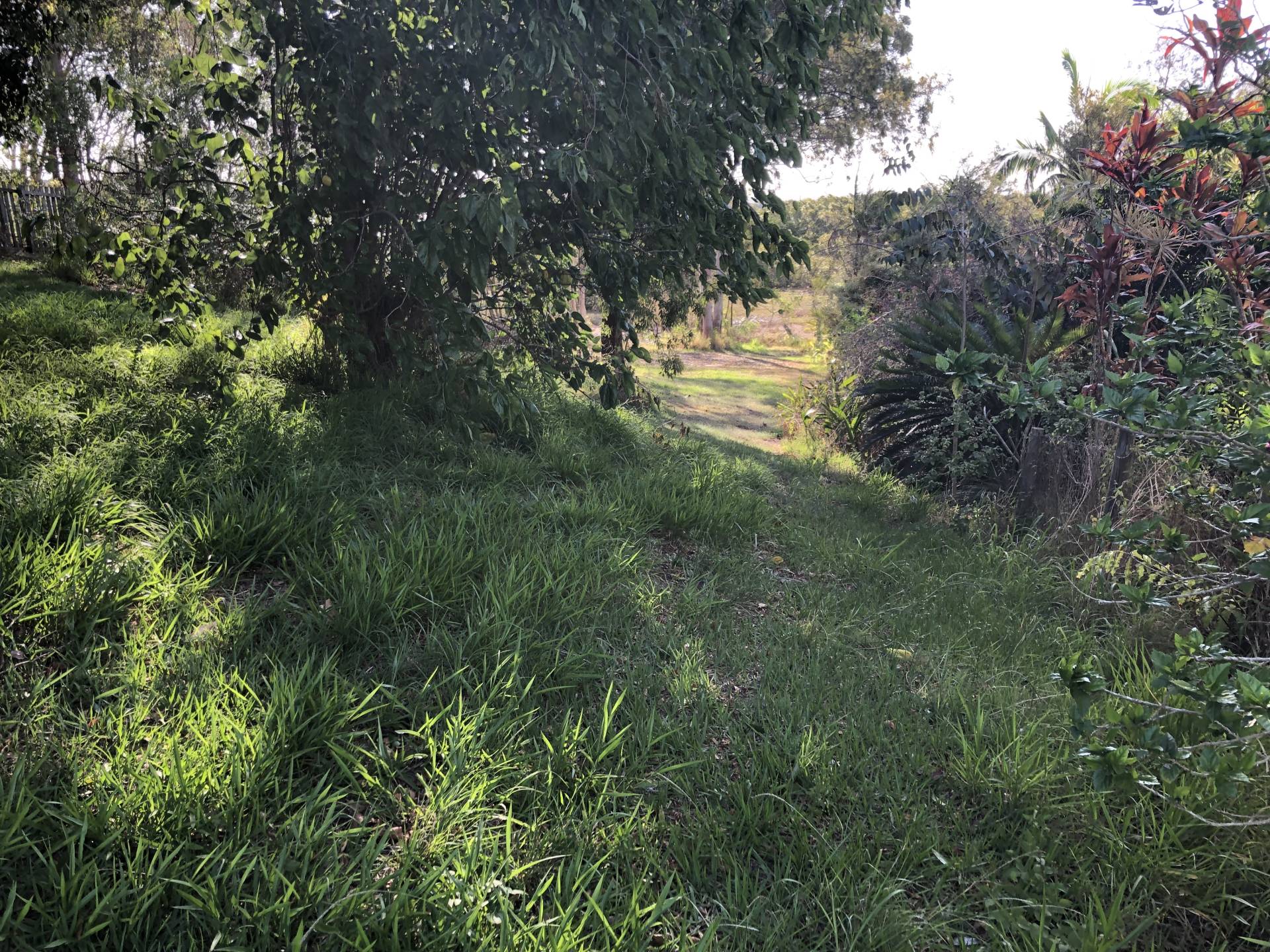 62 Charles Tce, Macleay Island, Macleay Island - Thumbnail 2