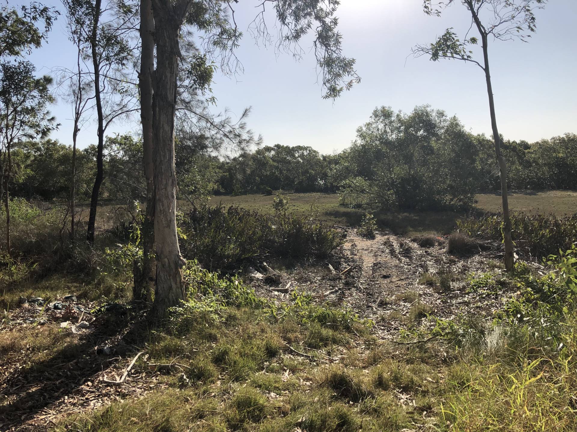 62 Charles Tce, Macleay Island, Macleay Island - Thumbnail 3