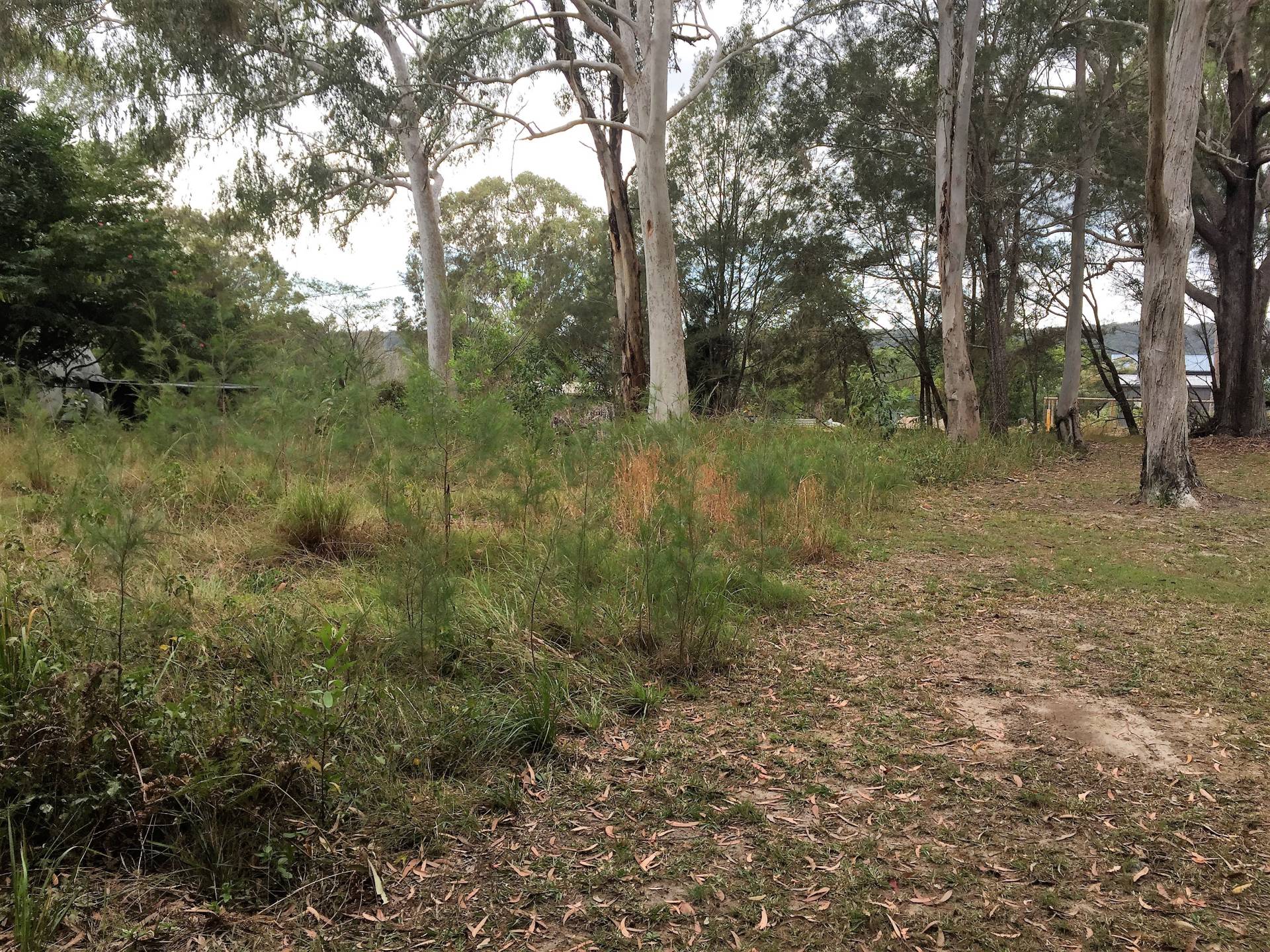 38-42 Scenic Dr, Russell Island, Russell Island - Thumbnail 5