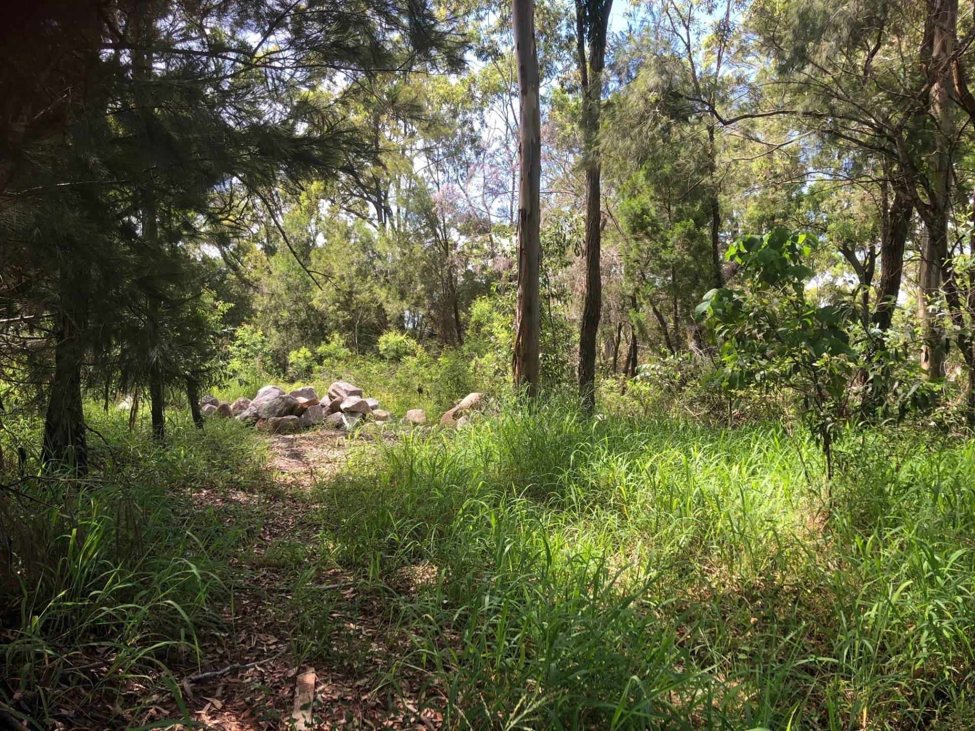 16 Blue Waters Cres, Macleay Island, Macleay Island - Thumbnail 2