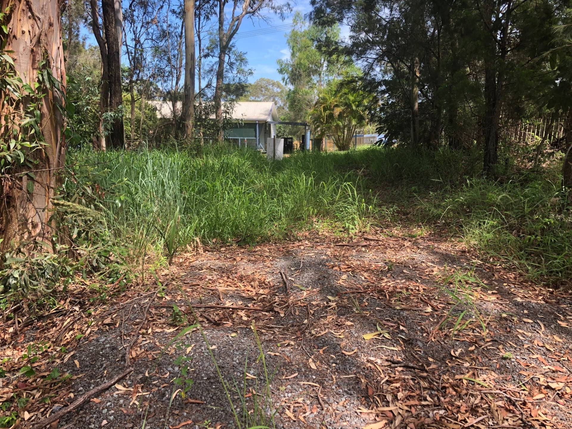 16 Blue Waters Cres, Macleay Island, Macleay Island - Thumbnail 3