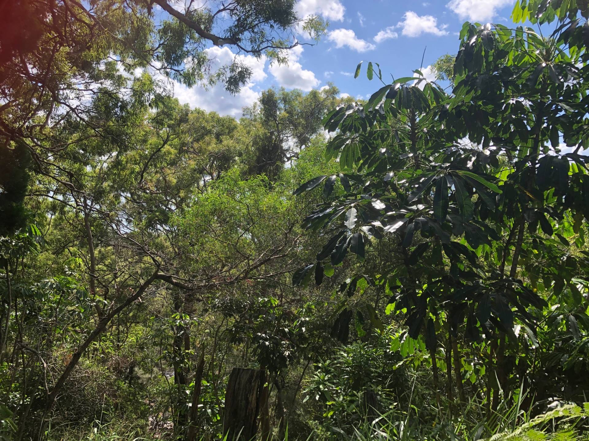 32 Blue Waters Cres, Macleay Island, Macleay Island - Thumbnail 5