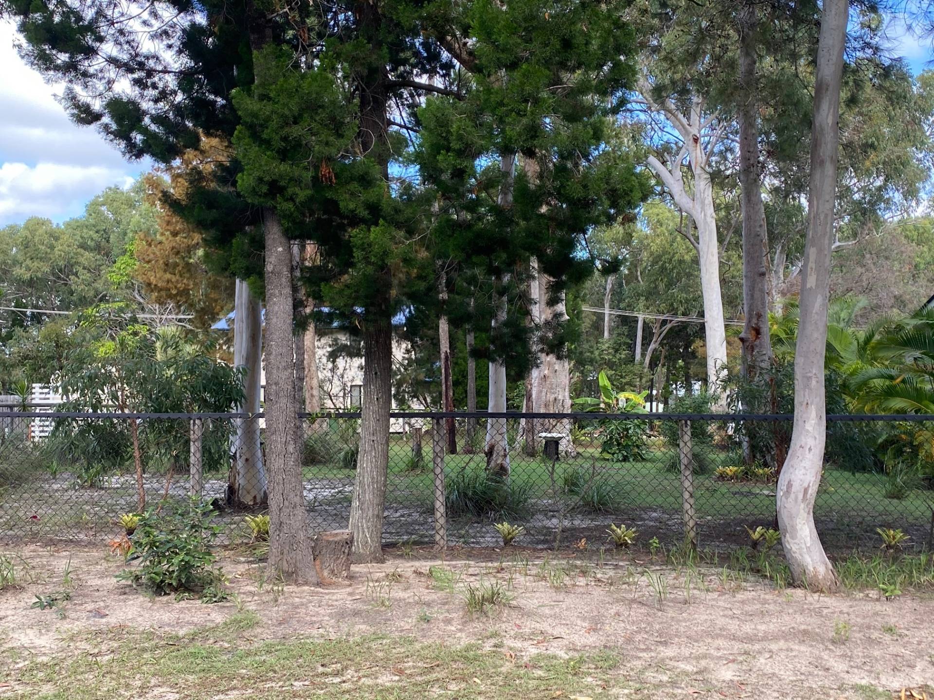 12 Baracoota Street, Macleay Island, Macleay Island - Thumbnail 3