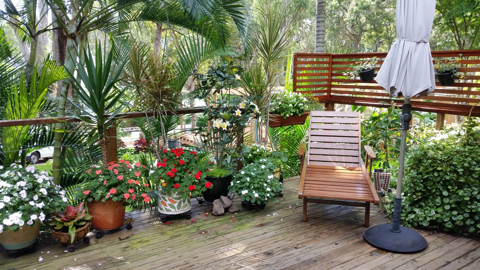 12 Rio Street, Macleay Island, Macleay Island - Thumbnail 2