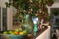 Sundance Taverna: Seize Your Coastal Dream Cafe & Bar in Vibrant Urunga!