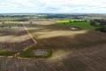 Harvested Blue Gum Plantation Block with Strong Potential