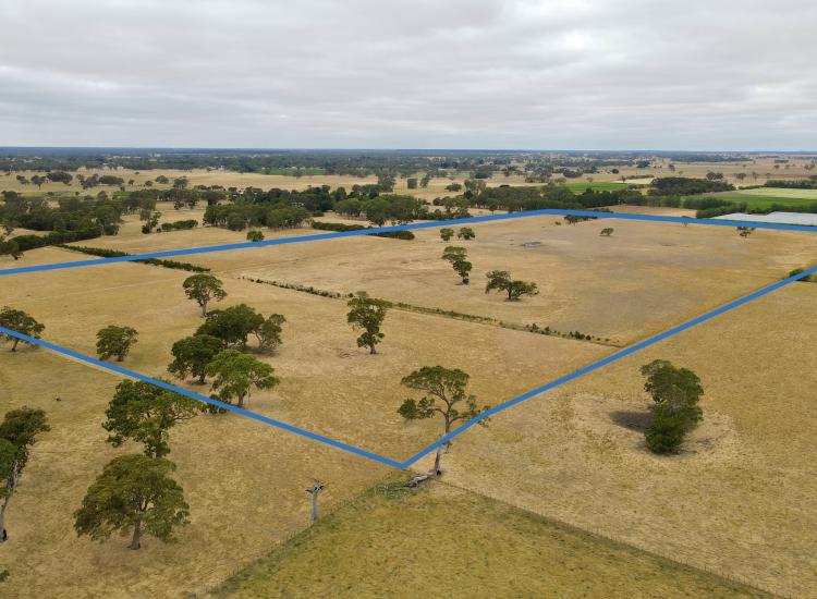 Universal opportunity