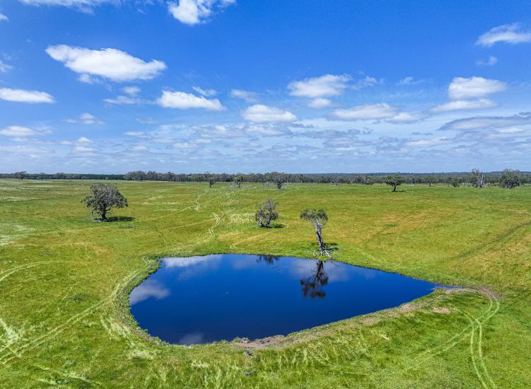 Scale, Secure Water & Productivity – 459ha Grazing Opportunity
