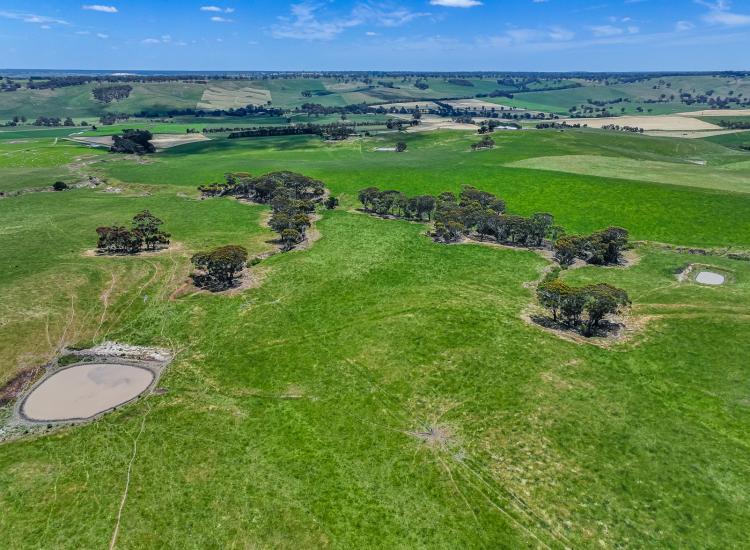 Quality Grazing Holding with Shelter, Water & Proven Pastures