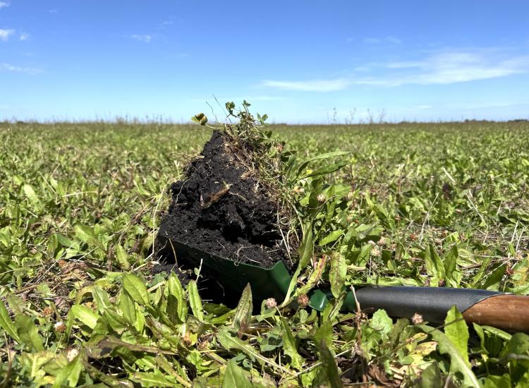 Prime Cropping and Grazing Opportunity