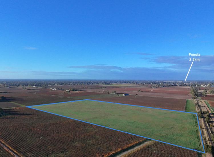 Rare Lifestyle Opportunity Just Minutes From Penola