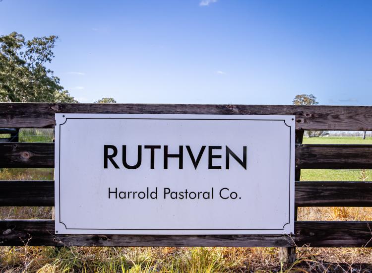 'RUTHVEN' | Grass, Water & Proven Performance