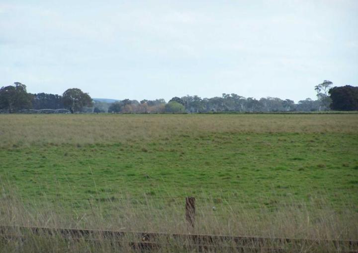 Lot 11 Morris Road, Kalangadoo