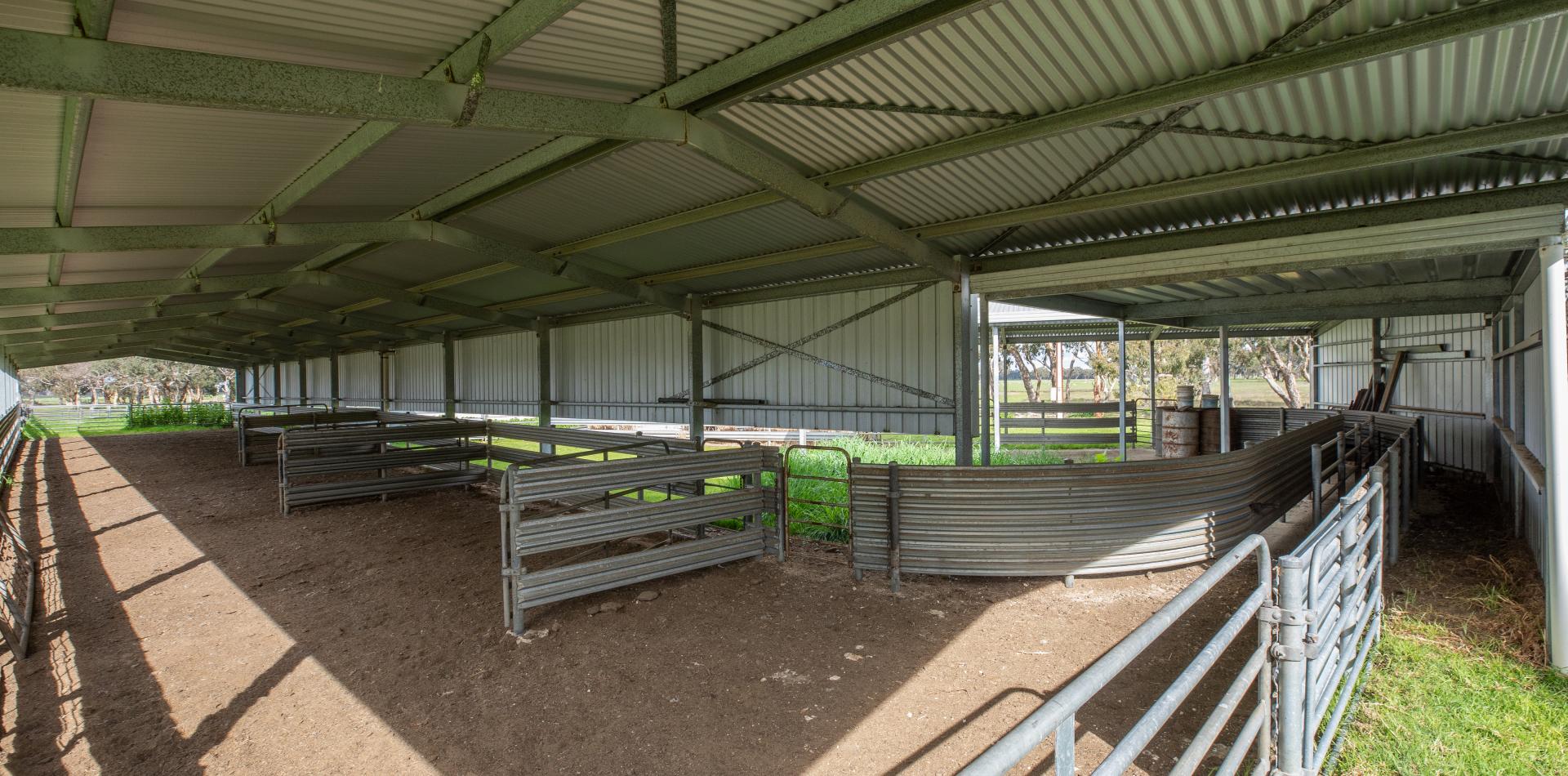 HEAVY AND PRODUCTIVE TDC Livestock and Property