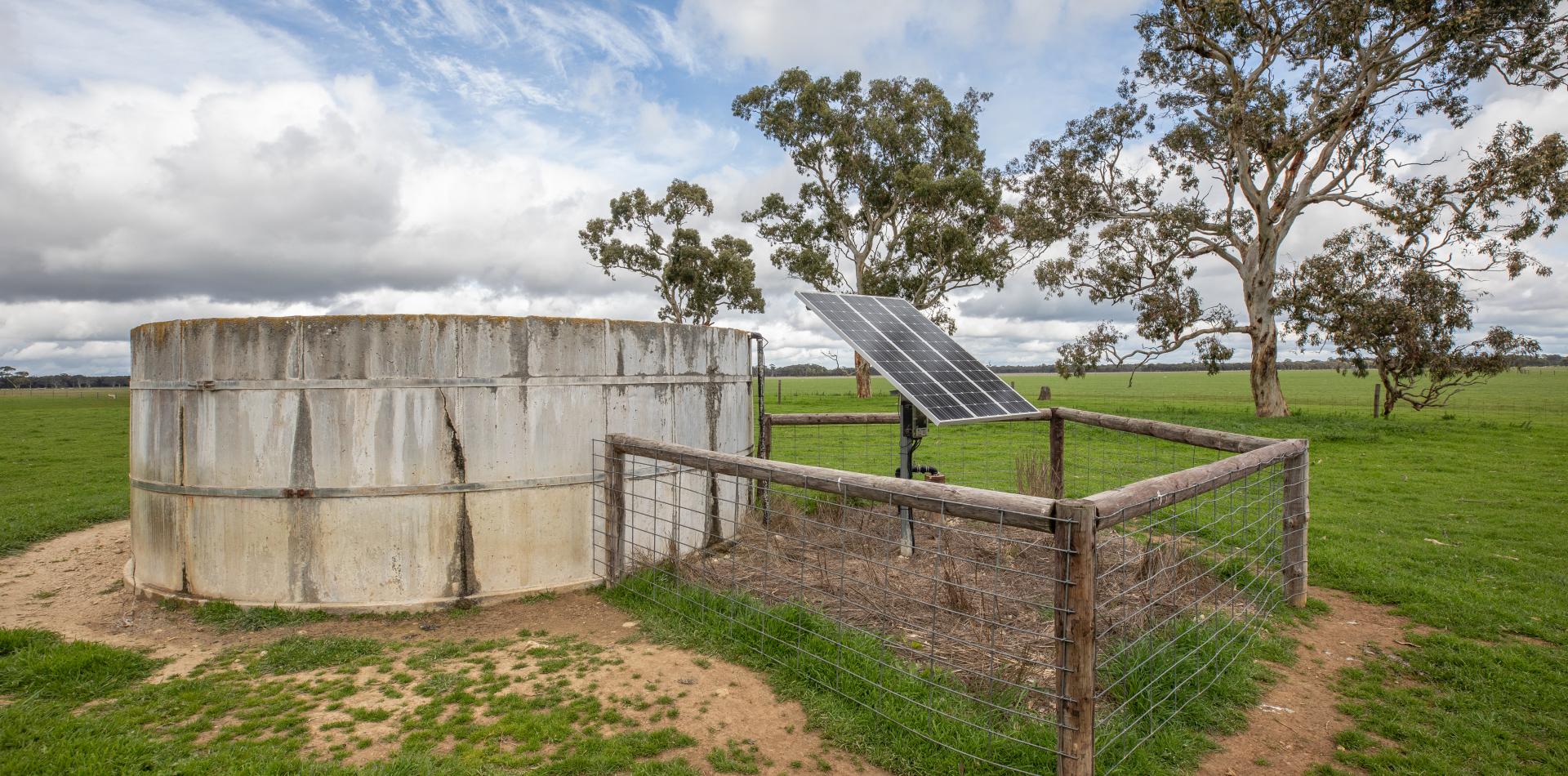 HEAVY AND PRODUCTIVE TDC Livestock and Property