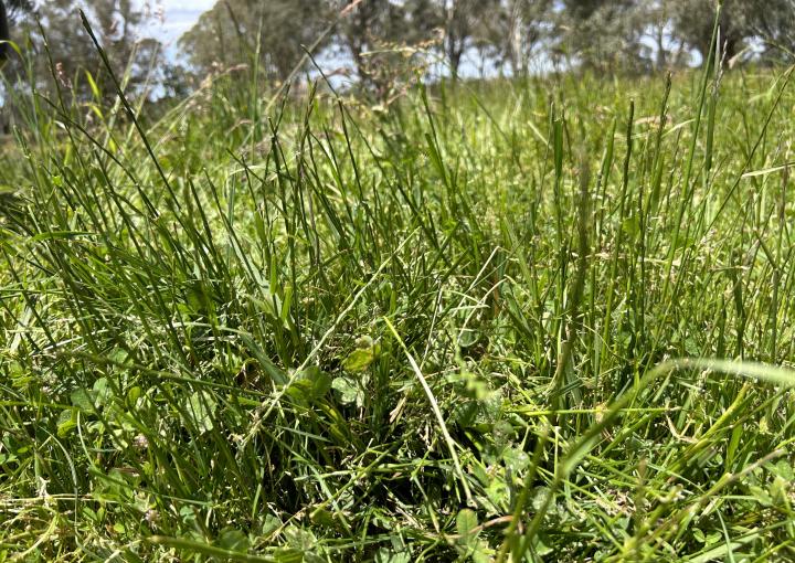 Lot, 4 Sullivans Rd, Dartmoor