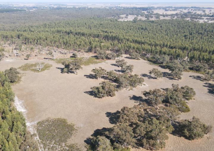 Section 386 Black Range Road, Lucindale
