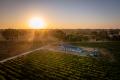 Spectacular Family Living Surrounded by Gums and Vines