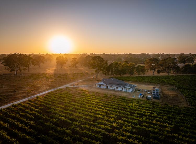 Spectacular Family Living Surrounded by Gums and Vines