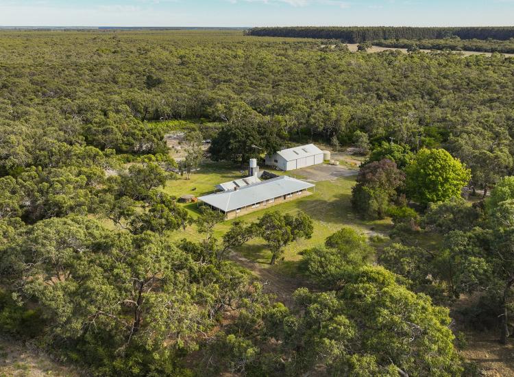 Spacious Family Home Amongst Native Sanctuary
