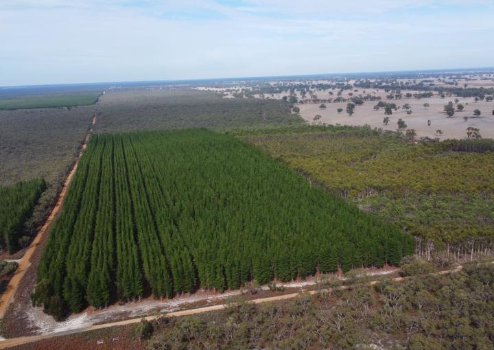 Lot 1 Jim Ryans Road, Edenhope