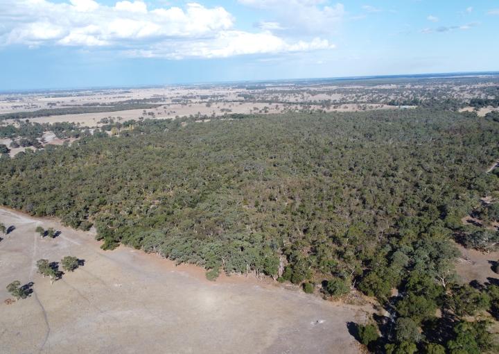 Section 292 Crower Road, Lucindale