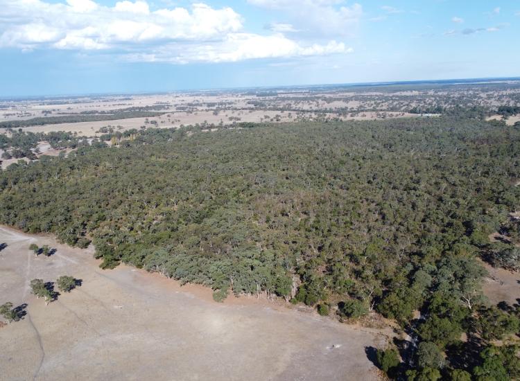 Native Escape At Its best $300,000