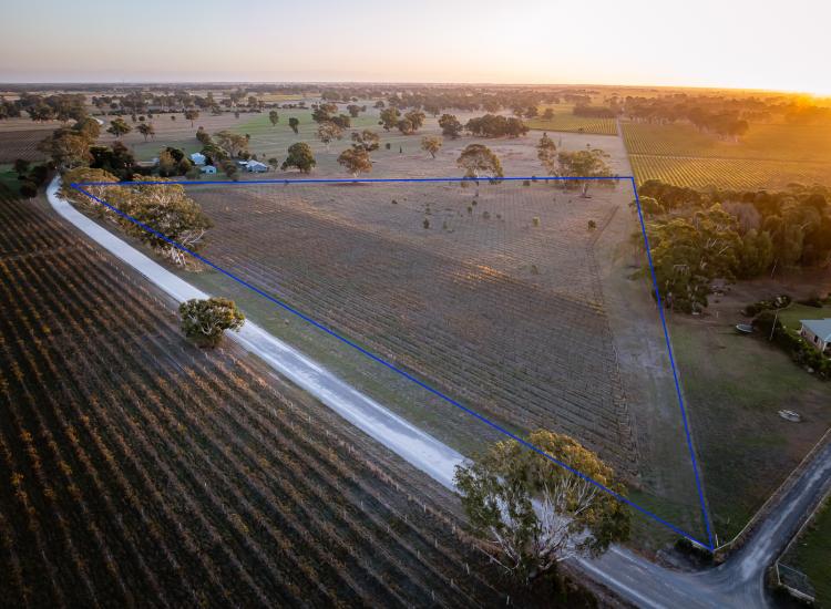 5 hectare allotment in stunning rural setting