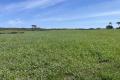 Productive and Balanced Grazing $8,600,000