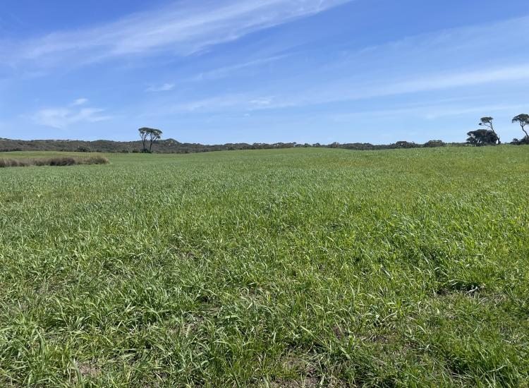 Productive and Balanced Grazing $8,600,000