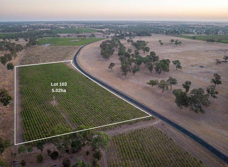 Lifestyle allotment two minutes from Penola