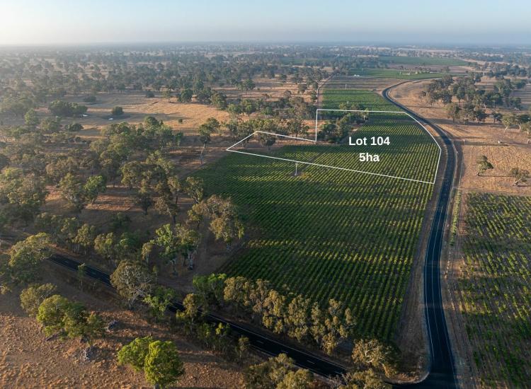 Gum studded 5 hectare allotment two minutes from Penola