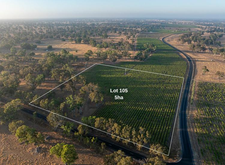 Stunning rural lifestyle allotment on 5 hectares