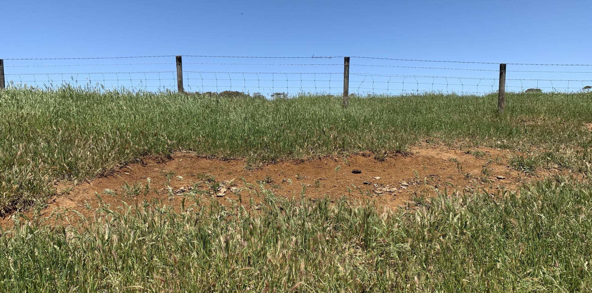 Lot 2 'Patanoola' 30 Land Rd Kalangadoo TDC Livestock and Property