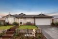 Space, Style & Serenity on a 764m² Block