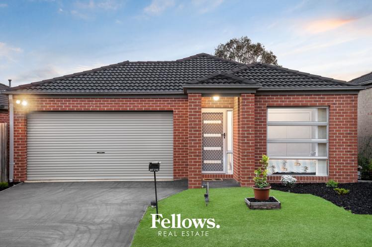 Modern Comfort with Low-Maintenance Style