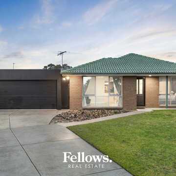 Thomas Kirkham and Holly Williams testimonial image