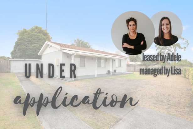 RENTERS WANTED...