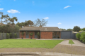 Tastefully Renovated Family Home