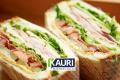 Well-Established Healthy Sub Sandwich Chain Franchise Business for Sale!
