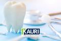 Auckland Dental Practice: Established, Profitable & Ready for Growth