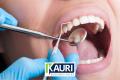 Busy Auckland Dental Practice for Sale: Strong Team & High Profits