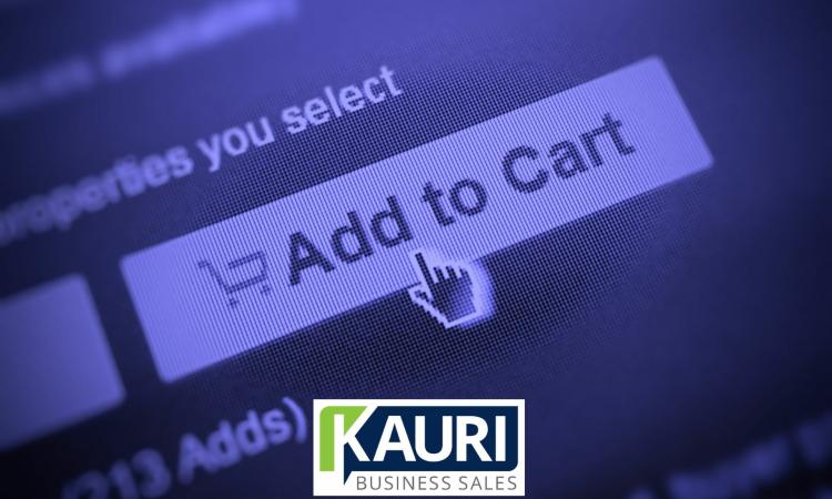 Established E-commerce business - FY25 EBITDA $900k