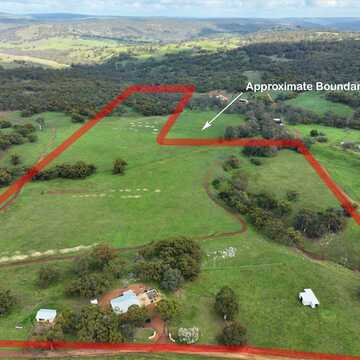 Liz  L testimonial image