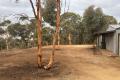 Breathtaking Bush Block with Stunning Views – Ready to Build!