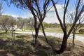 Escape to Your Own Slice of Serenity – 5 Acres of Potential!