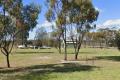 Prime 3.92-Acre Corner Block with Shed – Ready for Your Vision!