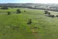 100 Acres of Opportunity