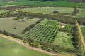 40 Acres of Lifestyle & Agricultural Opportunity